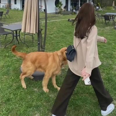 同谋